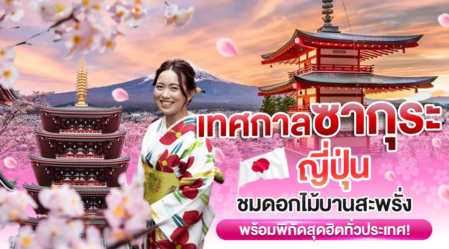 เทศกาลซากุระ ญี่ปุ่น ชมดอกไม้บานสะพรั่ง พร้อมพิกัดสุดฮิตทั่วประเทศ